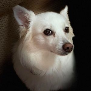 Meet your Posher, Liza